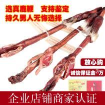 Selection of real deer spur with certificate supports identification of whole branch Jilin Plum Deer Whip Slice with fresh deer whipped cream ginseng