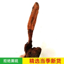 Pure wild Yunnan Dingtianzhu rejuvenating grass evergreen grass strong Tibetan Yangmeng bubble wine material 120g 500g