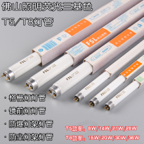 fsl fluorescent tubes FSLT5 14 w28wT8 765 15 W18W30W36W fluorescent grille