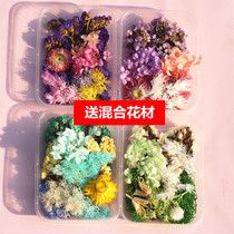 (Buy and send) dried flowers diy mix and match flower stickers Group fan flower handmade products kindergarten homework decoration
