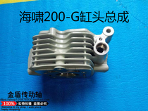 Tsunami 200 water-cooled engine cylinder head assembly tricycle engine cylinder head assembly