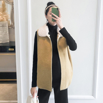 Foreign air pregnant woman winter clothing imitation minke jacket small sub-fashion external wearing autumn and winter sleeveless jacket easy to turn over the horse chia