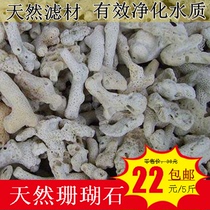 Fish tank filter material Aquarium bacteria house Coral sand Landscaping decoration Natural stone Coral bone Water purification Stable PH
