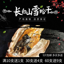 Changbaishan dried snow clams 12g dried feet whole Northeast specialty forest frog dried tonic toad dried papaya stewed snow clams