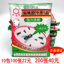 Dachau fly paste medium strong attractant light fly paper sticky fly glue to eliminate 100 pieces of sticky fly Board