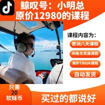 Whale exclamation point Exclamation point secret training Eight days overseas tiktok short video operation course Whale exclamation 00C course