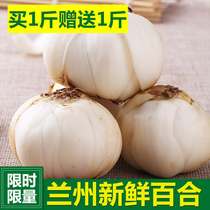 One serving 2kg Lanzhou fresh lily fresh lily farmhouse fresh lily non-dried lily