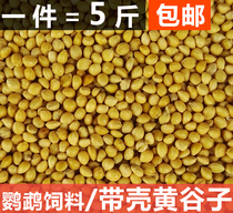 Millet with Shell millet parrot grain tiger skin peony bird little sun bird food feed 5kg bird grain