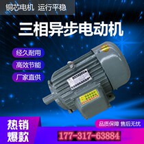 YE2 YX3 Three-phase asynchronous motor YE3-180L-4 22 30 37 45KW motor Copper motor