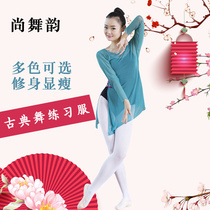Ballet dance suit Adult dance practice suit Gauze slim-fit female top Dance suit Classical dance practice suit Elastic mesh
