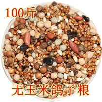 100kg of pigeon grain no corn pigeon grain nutrition feed bird food pigeon ornamental pigeon meat pigeon young Pigeon Pigeon grain