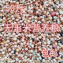 50 catties of pigeon grain without corn pigeon grain nutrition feed bird food pigeon ornamental pigeon meat pigeon young pigeon fresh pigeon