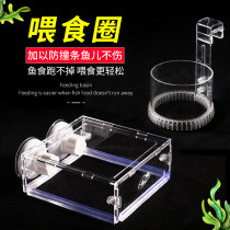 Fish tank l dual-purpose acrylic fish food feeding ring anti-floating feeder feeding ring Best Thai aquarium