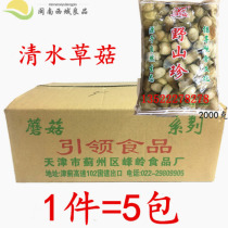 A full box of 2kg × 5 packs of edible fungi wild mountain fungus pickled water mushrooms