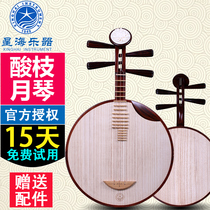 Beijing Xinghai 8214 professional acid branch wood Yueqin national musical instrument Beijing Opera accompaniment Yueqin send accessories