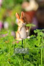 Rabbit plug-in Zakka gardening groceries Moss fleshy micro landscape plug-in foreign trade resin hand-painted