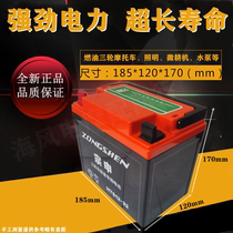 Zongshen Futian five-star 12V32A fuel three-wheeled motorcycle dry battery 12v motorcycle lead-acid battery