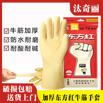 Wear-resistant household kitchen dishwashing waterproof non-slip Dongfanghong latex gloves thick beef tendon full rubber gloves