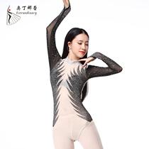 Odinara New Fitness Yoga Suit Women's Siamese Ballet Suit Long Sleeve Gymnastic Practice Suit with Drill Mesh