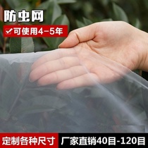 Insect-proof mesh Window screen mesh Mosquito-proof fly vegetable garden net Apricot garden fence Fine-eyed grape net White fish pond