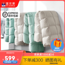 Fuanna home textile duvet white goose down winter quilt thickened winter warm single double spring and autumn four seasons quilt core