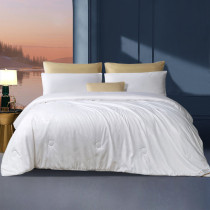 Fuana winter quilted by silk quilt 100 silk quilt core antibacterial warm thickening quilt by thin air conditioning quilt by spring autumn