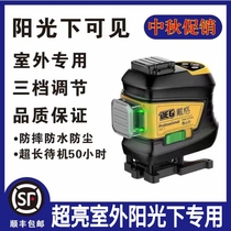 Sunshine Visible Dyg 12-line spirit level green light red sticker Wall instrument ground meter high precision blue green light infrared