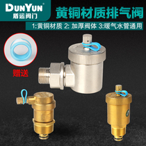 Shield heat radiator automatic exhaust valve pure copper vertical intelligent air release valve central heating household heating accessories