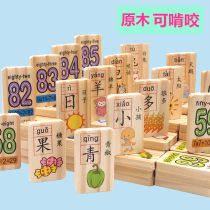 Wooden baby children early education 100 pieces double-sided Chinese characters dominoes concoction solid wood building block educational toy