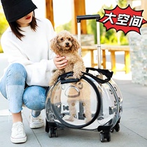 Cat Bag Pull Rod Box Pet Out Carrying Bag Transparent Up the dog out of the house Suitcase Kitty Backpack Back-to-pull Dual-use