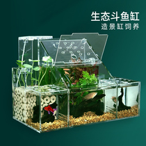 Ecological bucket fish tank guppies breeding and incubation special isolation box circulating water filtration creative desktop bucket fish row tank