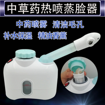 Taidong Chinese herbal medicine package hot spray fumigation instrument facial steamer moisturizing Chinese medicine sprayer household thermal spray beauty instrument