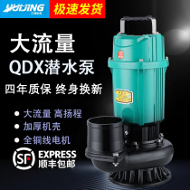 Submersible pump 2 5 inch 3 inch 4 inch agricultural irrigation high lift household pump large flow 220v380 pump