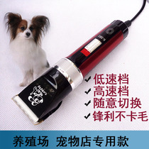 Professional with line plug-in electric type electric pet haircut electric push cut long fur pooch shave hair cutter haircut razor razor