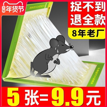The sticky mouse plate is enlarged and the super strong mouse glue is glued and glued.