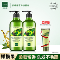 Senvina olive dandruff supple shampoo conditioner for men and women to oil shampoo long-lasting fragrance