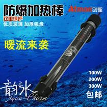 Chuangxing AT automatic heating rod explosion-proof heating rod export version of the heating rod 100W 200W 300W 