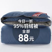 Down quilted by 95 white goose down winter quilted by quilt thickened winter 10 catty by core spring autumn by duck suede Single Dormitory Stay Warm