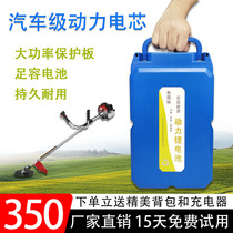 24V electric lawn mower lithium battery 36V48v water pump hedge trimmer battery 12ah15ah20ah