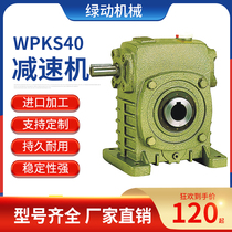 Green gear reducer worm gear small reducer WPKS40 micro vertical drive gearbox gearbox