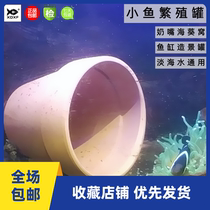 XDXF丨Official small fish breeding tank clown fish nest fresh sea water general sea anemone nest water grass basin fish tank landscaping