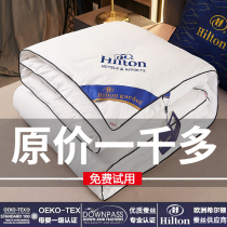 Outlet Hilton hotel silk quilted by 100 mulberry silk spring autumn quilt with thickened warm quilt quilted by the core winter quilted by cotton quilt
