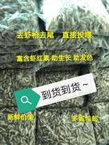 Go to the gun to the tail river shrimp frozen green shrimp white prawn shrimp section fresh Dragon tiger fish feed fish food