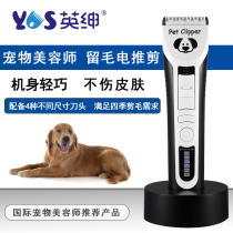Yingshen professional pet electric clipper LB-9880 dog cat shaver beautician leave Electric Pusher