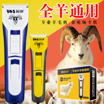 Yingshen professional wool scissors high power pet shaving electric push scissors small plug-in sheep cat and dog shearing machine