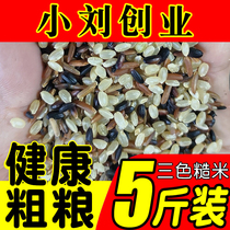 Tricolor Brown Rice Fitness Brown Rice Brown Rice New Rice 5 Jin Xuan Rice Coarse Rice Coarse Rice Grain Rice