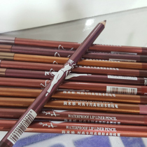 Two Lilaya Misty lip pen lip liner waterproof long-lasting not easy to decolorize Lip Matte waterproof
