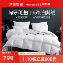 Waterstar Home Spun Goose Down Quilt 95 White Goose Down Spring Autumn Quilt All Season Universal Quilt Core Thickened Winter Quilt Warm Down Quilt