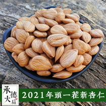 Pure wild sweet almond Hebei Chengde specialty big flat South almonds fresh raw and cooked raw dried nut snacks