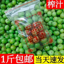 1 kg of fresh oil Gan fruit Chaoshan specialty is now picked and made Yu Ganzi Yunnan olive pregnant woman sour water jade juice